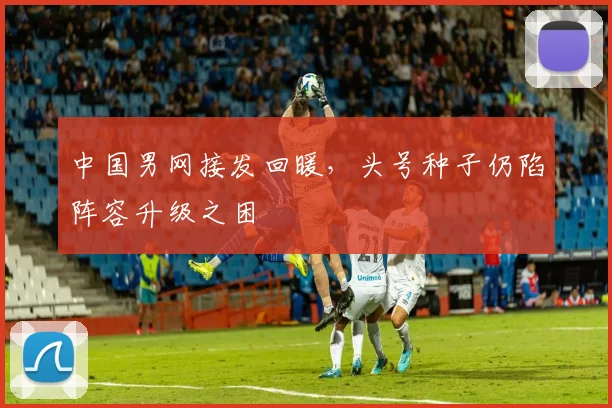 中国男网接发回暖，头号种子仍陷阵容升级之困