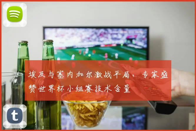 埃及与塞内加尔激战平局，专家盛赞世界杯小组赛技术含量